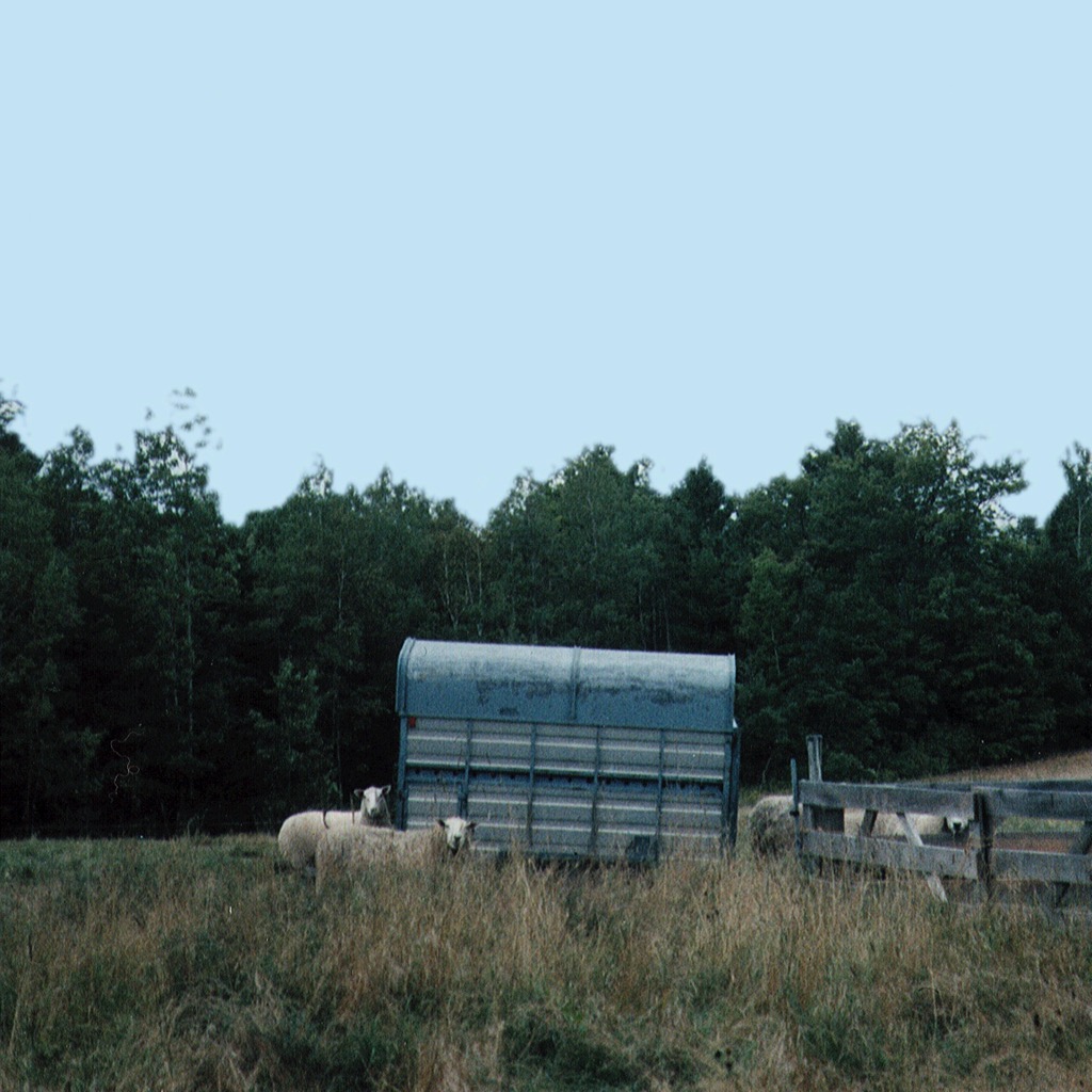 Loading Image
